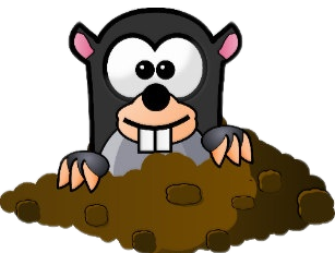 mouse